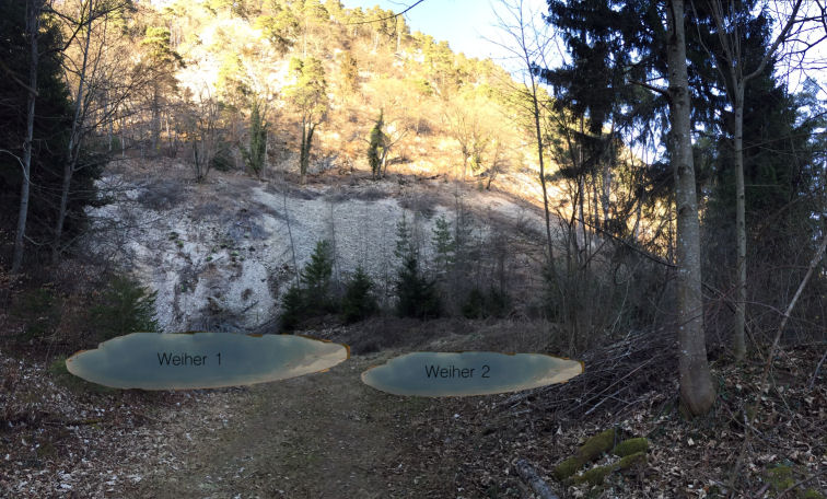 Fotomontage Weiher